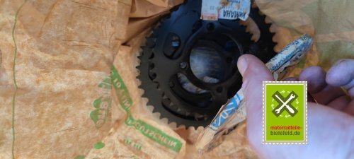 IMG_20230826_194239
